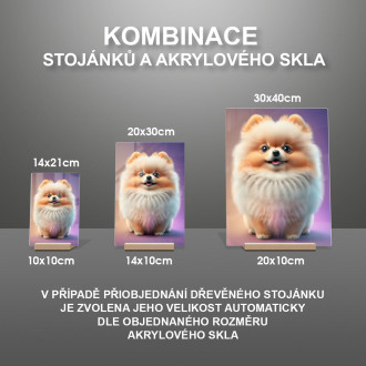 Pomeranian animovaný