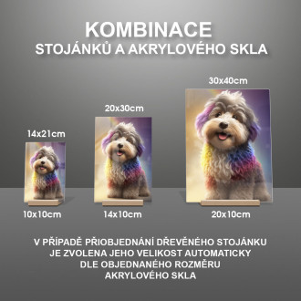 Havaneseanimovaný