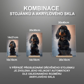 Gordon Setter animovaný