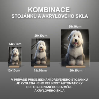 Starý anglický ovčiak animovaný