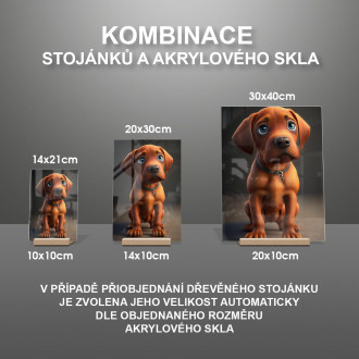 Rodézsky ridgeback animovaný