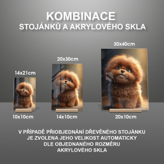 Spinoni Italiani animovaný