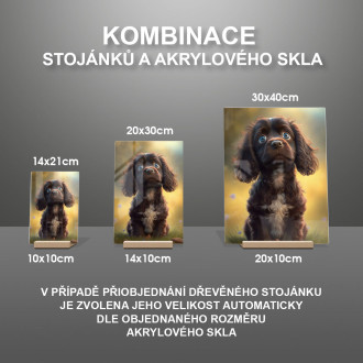 Poľný španiel animovaný