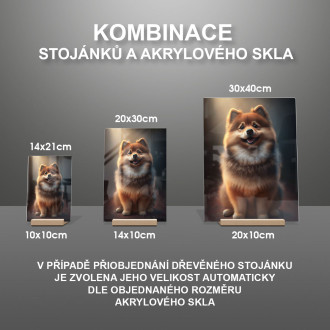 Fínsky laponský pes animovaný