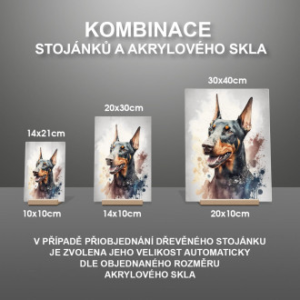 Doberman Pinscher akvarel