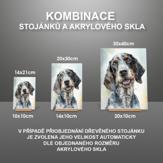 Bluetick Coonhound akvarel