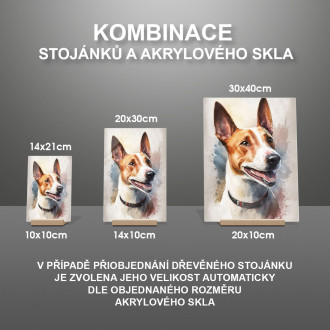 Basenji akvarel