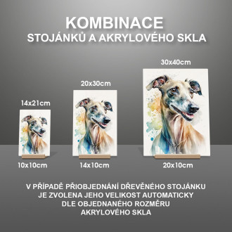 Taliansky chrtík akvarel