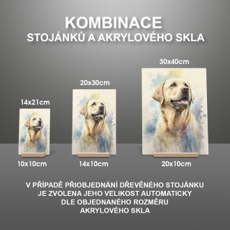 Labradorský retriever akvarel