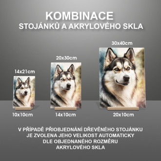 Sibírsky husky akvarel