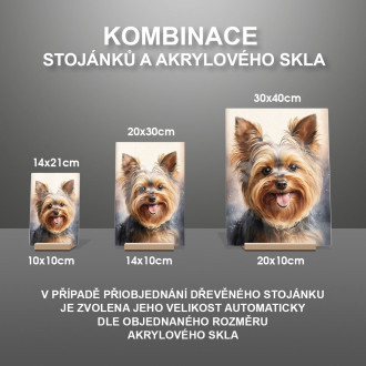 Jorkšírský teriér akvarel
