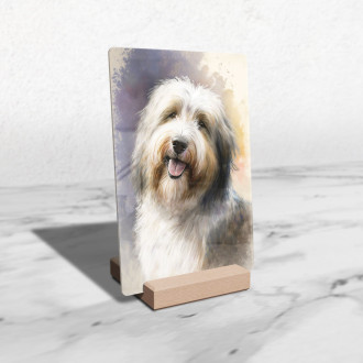 Bearded Collie akvarel