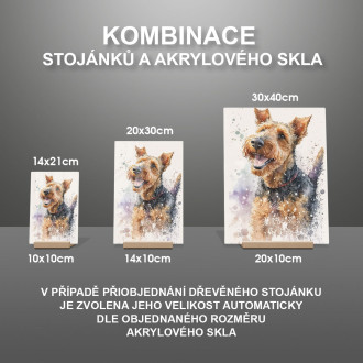 Waleský teriér akvarel