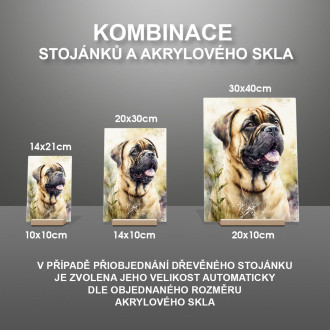 Bullmastiff akvarel