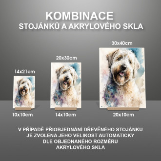 Soft Coated Wheaten Terrier akvarel
