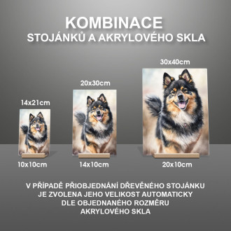 Fínsky laponský pes akvarel