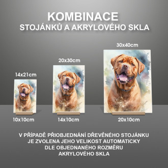 Bordeauxská doga akvarel