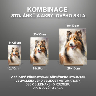 Shetlandský ovčiak akvarel