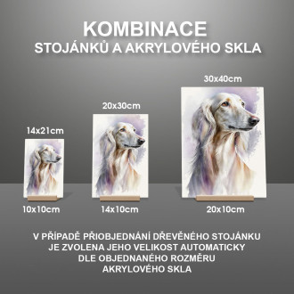 Saluki akvarel