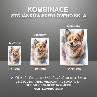 Nórsky Lundehund akvarel