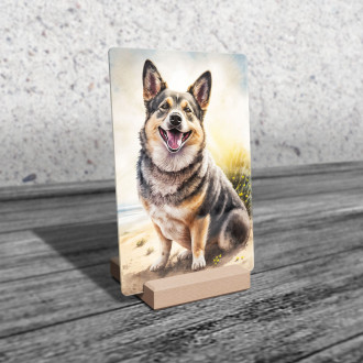 Švédsky Vallhund akvarel