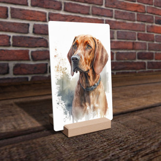 Redbone Coonhound akvarel