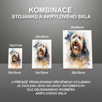 Otterhound akvarel