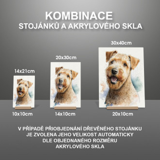 Lakelandský teriér akvarel