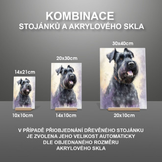 Veľký bradáč akvarel