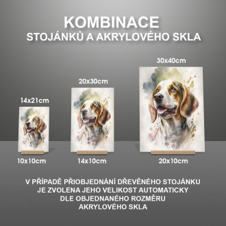 Beagle akvarel