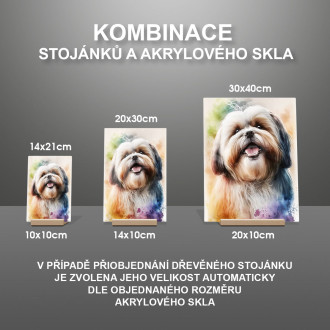 Lhasa Apso akvarel