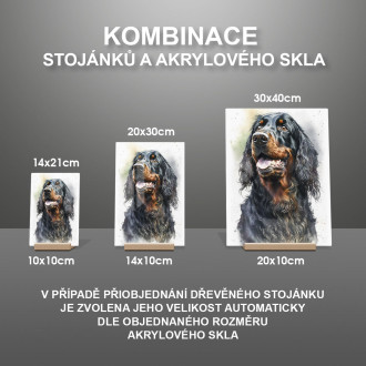 Gordon Setter akvarel