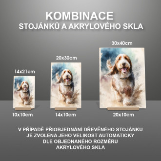 Veľký Basset Griffon Vendéen akvarel