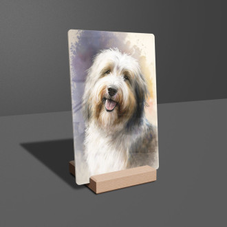 Bearded Collie akvarel