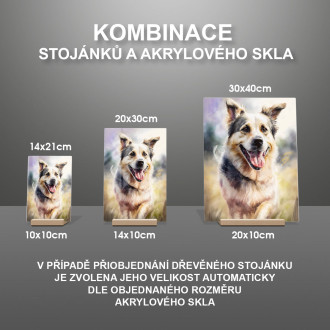 Pulík akvarel
