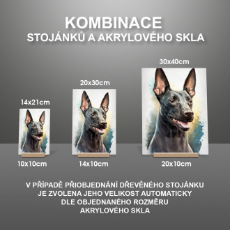 Xoloitzcuintli akvarel