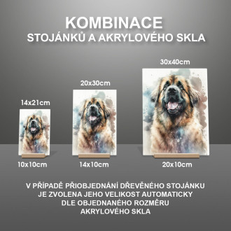 Leonberger akvarel