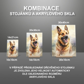 Chinook akvarel
