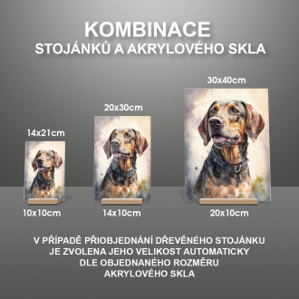 Plott Hound akvarel