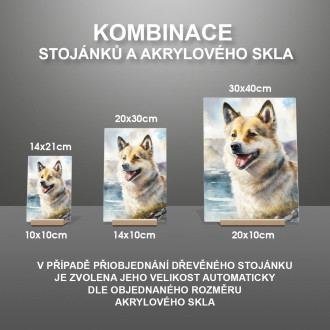 Nórsky Buhund akvarel