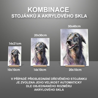 Škótsky deerhound akvarel