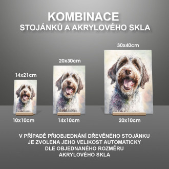 Foxteriér drôtosrstý akvarel