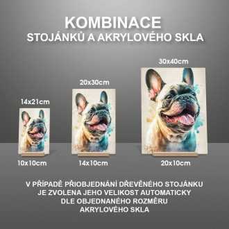 Francúzsky buldog akvarel