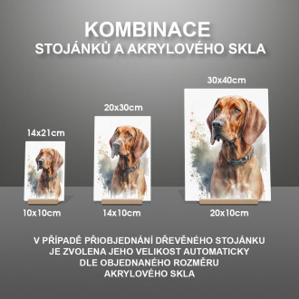 Redbone Coonhound akvarel