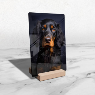 Gordon Setter realistic