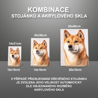 Shiba Inu realistic