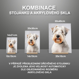 Sealyhamský teriér realistic