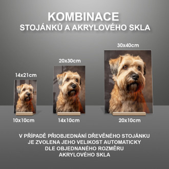 Soft Coated Wheaten Terrier realistic