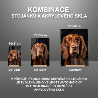 Írsky seter realistic