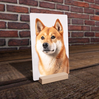 Shiba Inu realistic